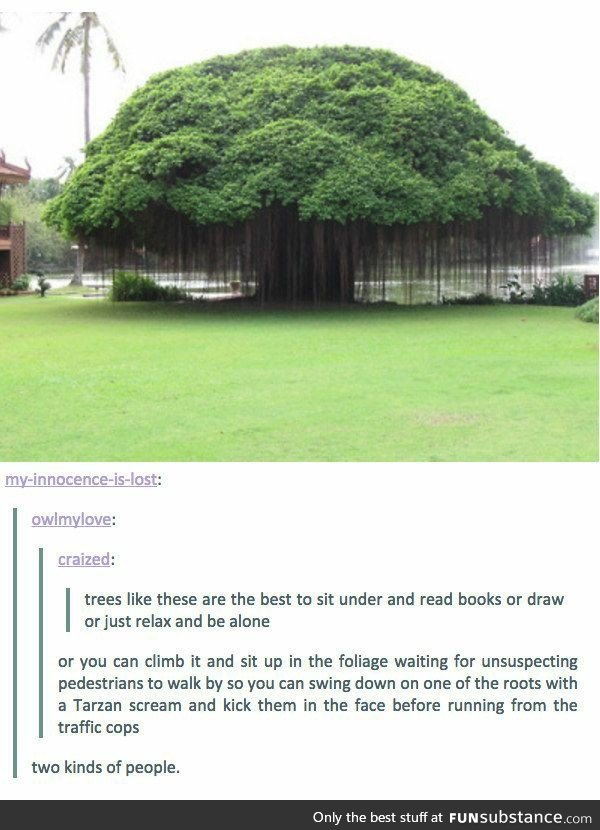 Trees Like This
