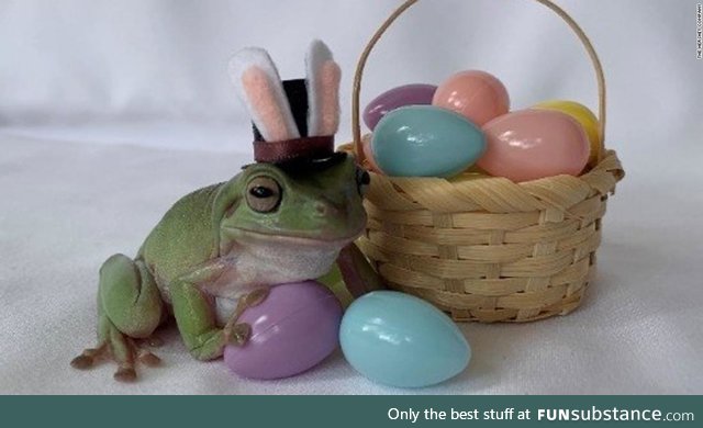 Froggo Fun #437/Special - Happy Easter!