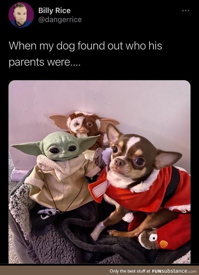 Yoda daddy, Gizmo!