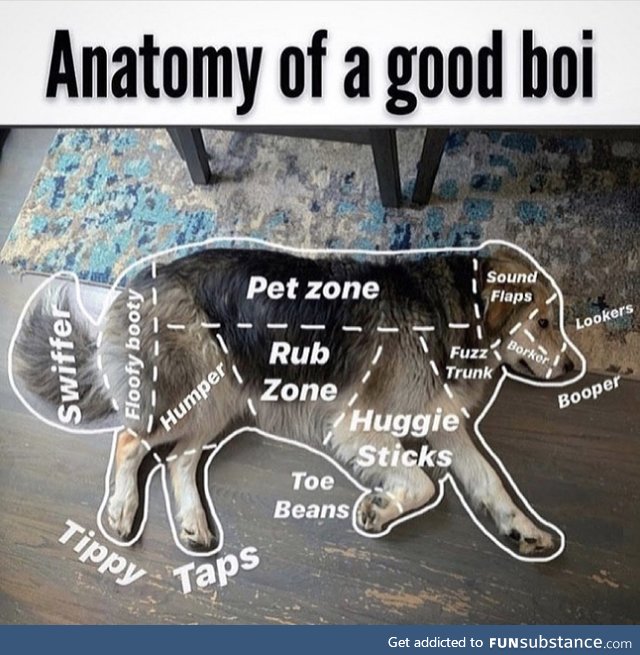 The only anatomy class I’d pass