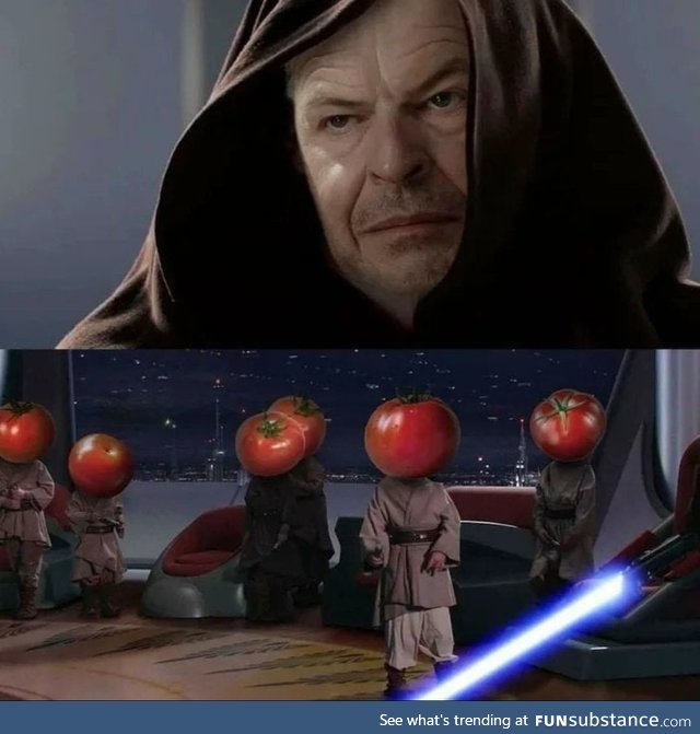 Tomato massacre