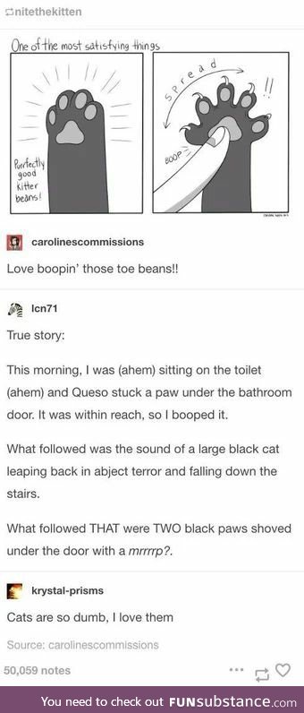 Boopin Toe Beans