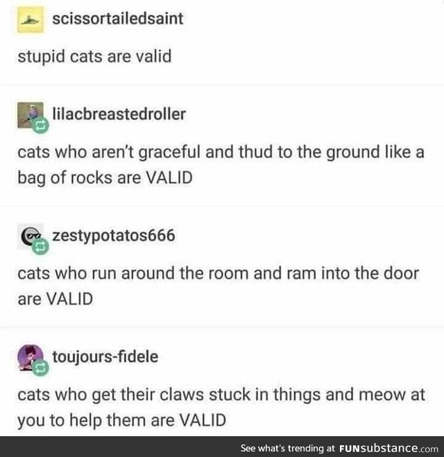 All Cats are Valid