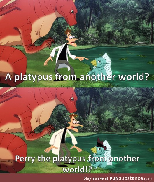 A platypus from another world?