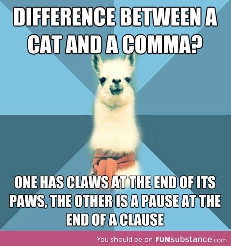 The difference between a cat and a comma
