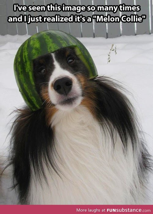 Melon collie?