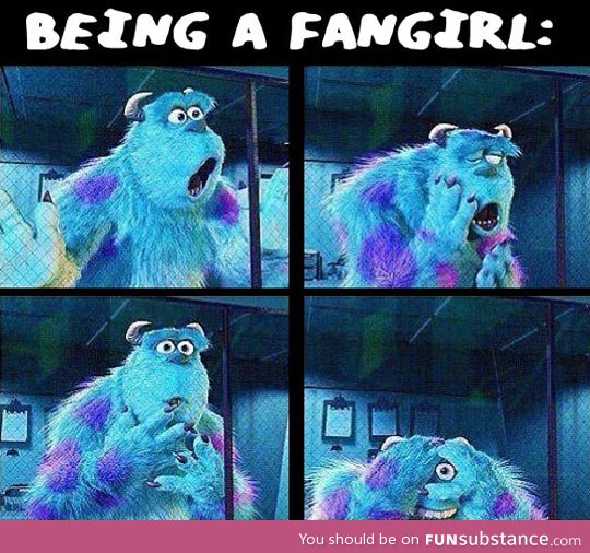 What being a fangirl looks like