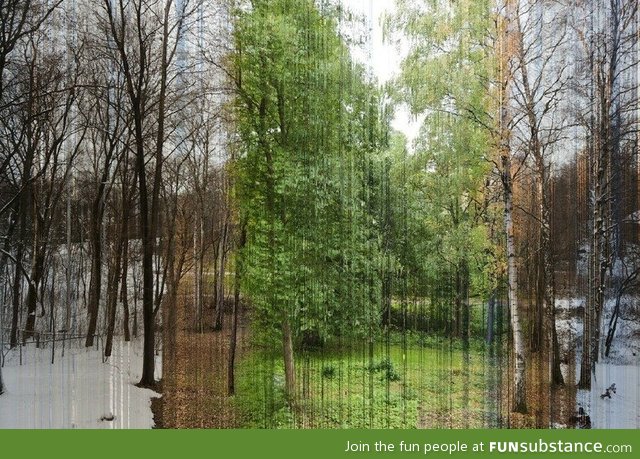 3888 pictures over a year merged into one
