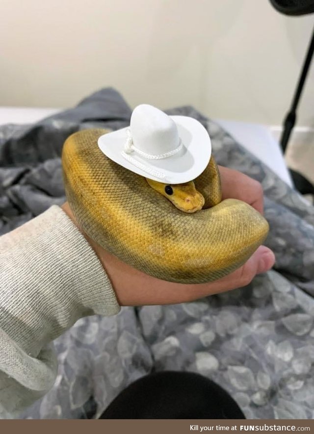 Making Hats For Snakes