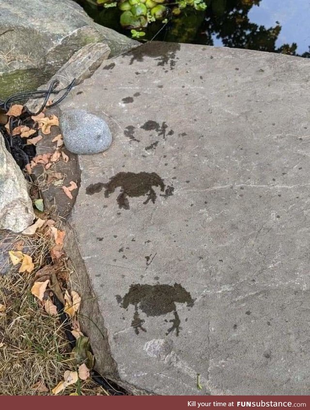 Froggo tracks