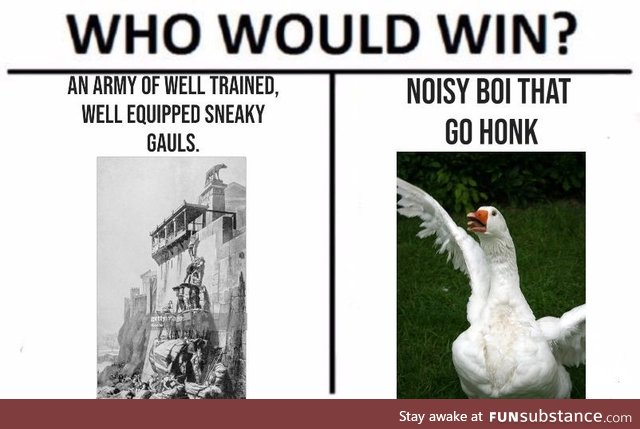 That was a real fowl defeat.