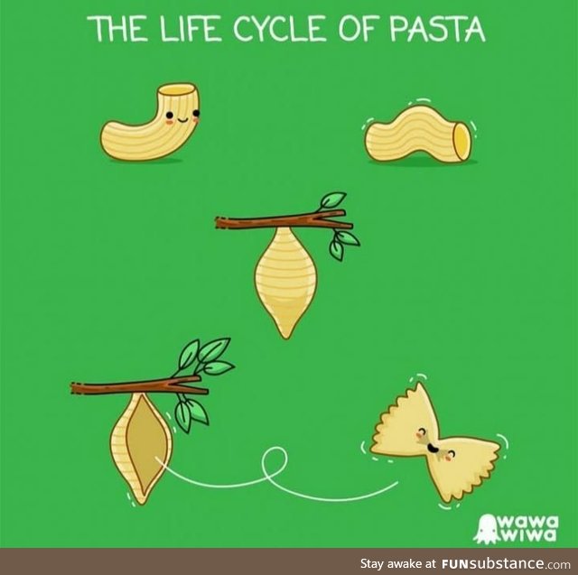 The life of a pasta