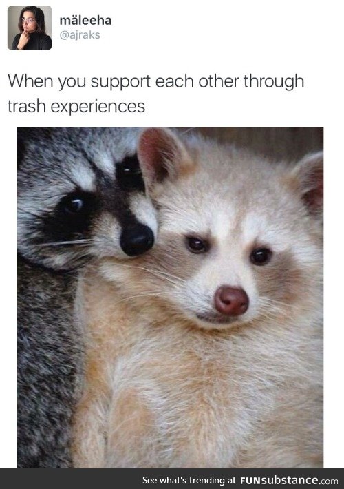 Supporting each other through trash experiences