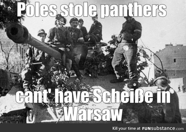 They stole Sonderkraftfahrzeug 171 Panzerkampfwagen V Panther Ausführung A