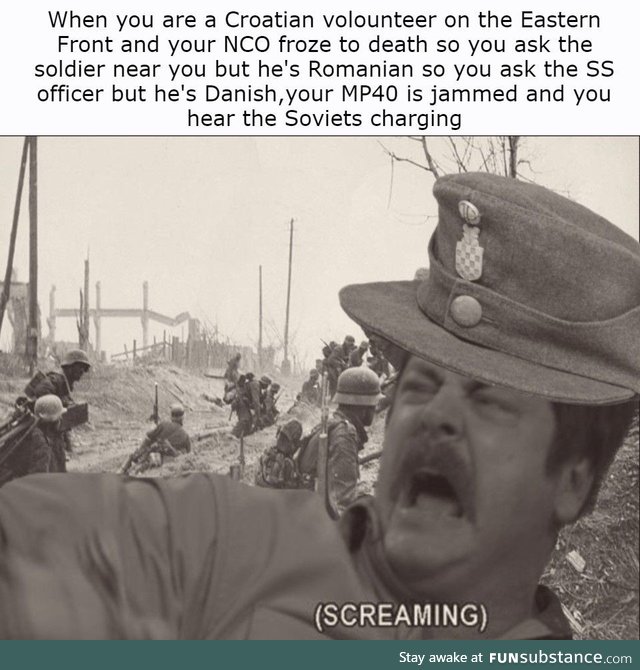 Should have fought the partisans