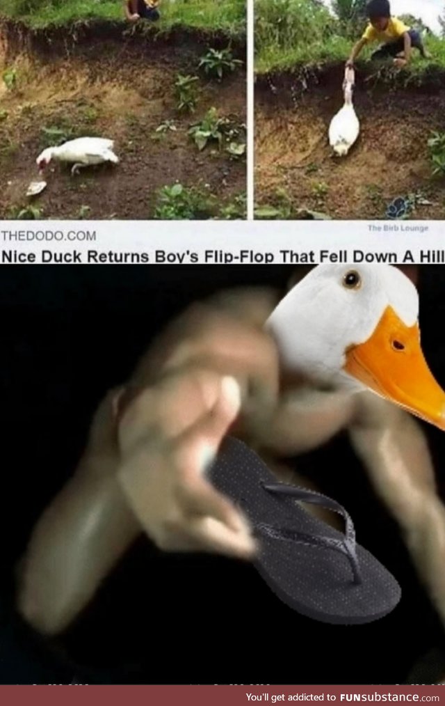 Such a good duck