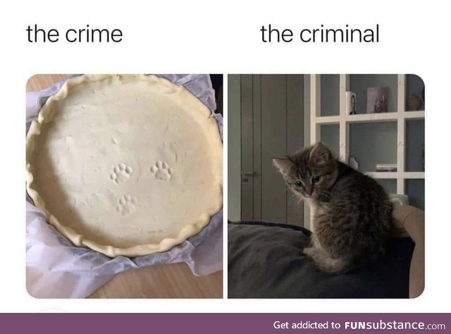 Claw enforcement says he was pawsibly decorating the pie