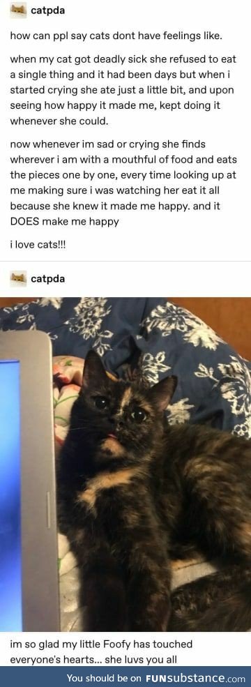 Cat ate because it made her owner happy