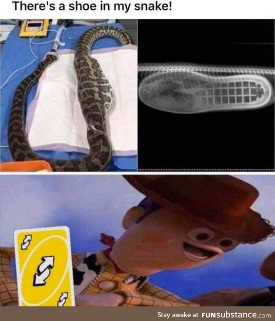 "There's a Snake in My Boot!"