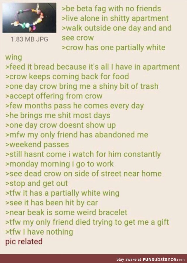 Anon domesticates a crow