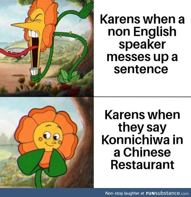 Is the Karen meme still relevant?