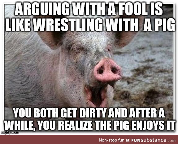 Arguing with Fools, Wrestling with Pigs