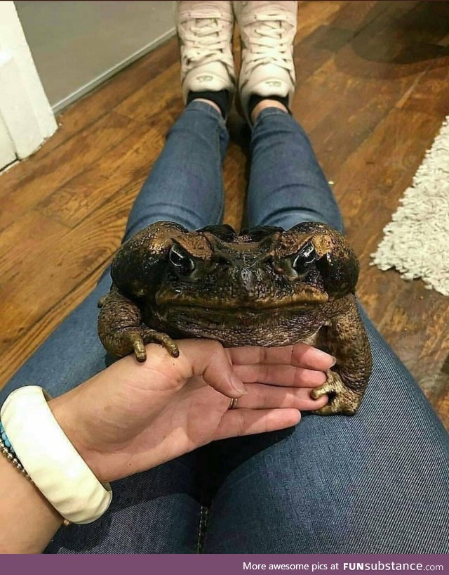 Happy frog?