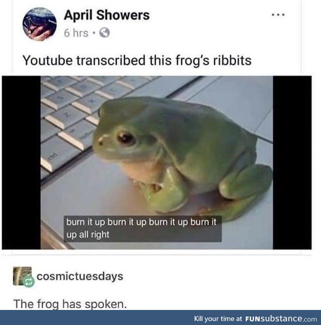 All hail froggo