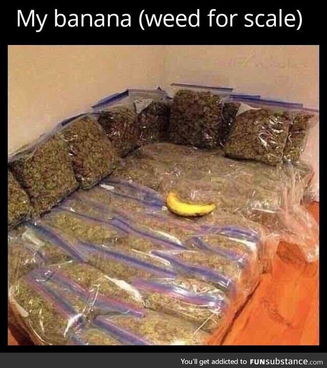 It's a big banana