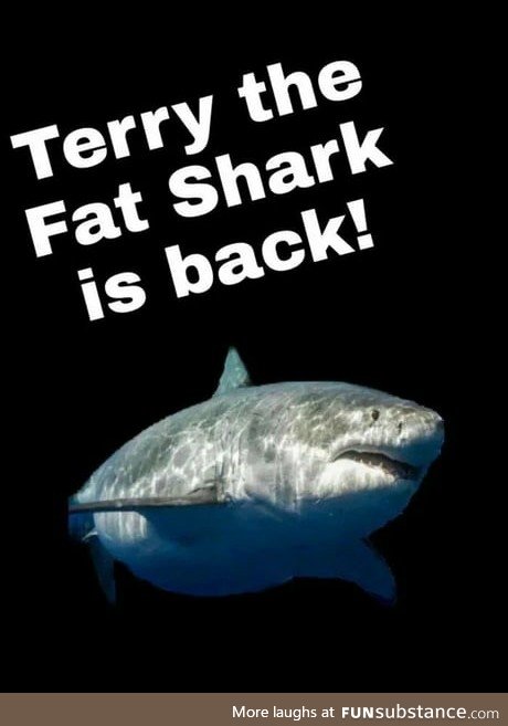 Good News. Terry Is Okay