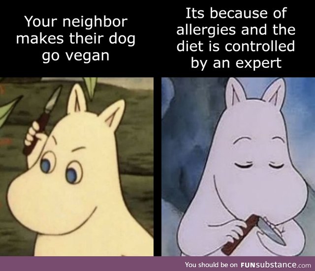 But most of the time, having your dog be vegan is bad