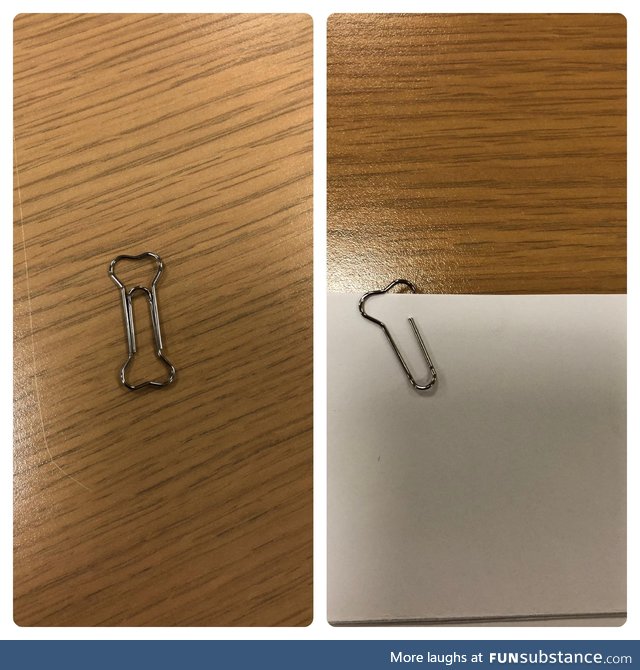 Client bought paper clips shaped like dog bones
