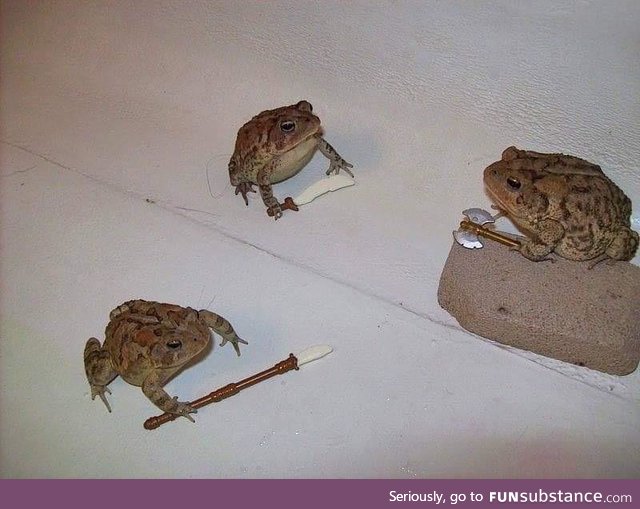 Froggo Fun #475 - Me and the Boys Preparing to Raid Reddit after the Frog Ban