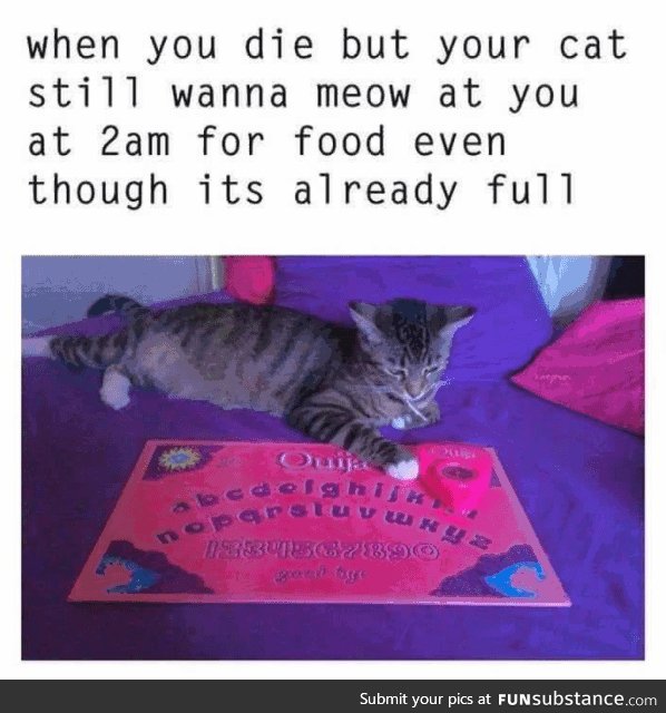 'Til Death do you part, and even then when the food bowl is "empty"