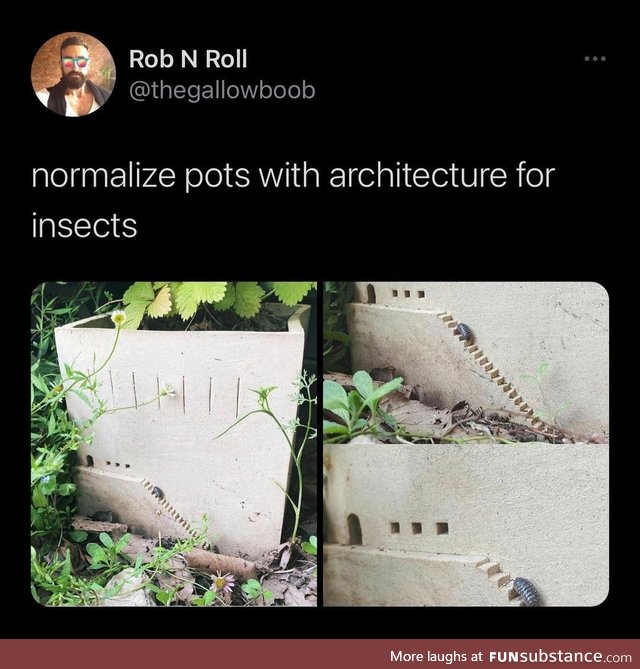 Architecture for insects