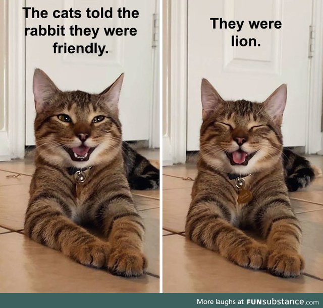 Bet They Were Feline Pretty Proud of Themselves