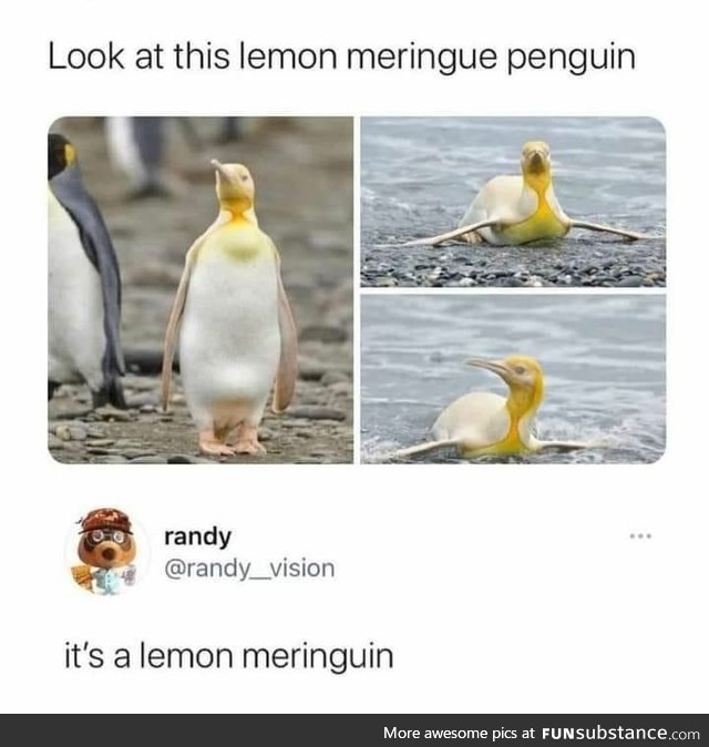 Lemon Merenguin
