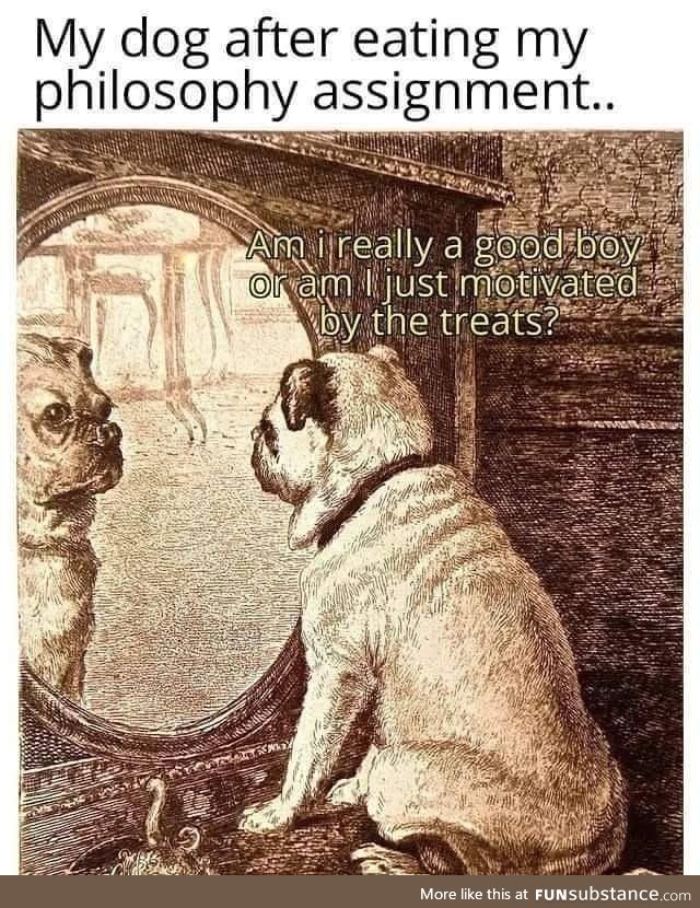Doggo freud philosophy