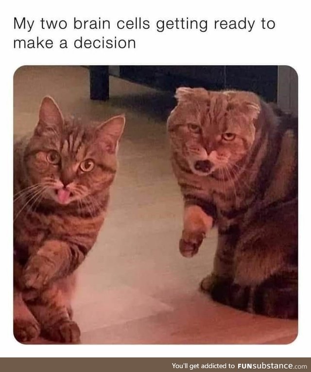 Two brain cells getting ready to make a decision