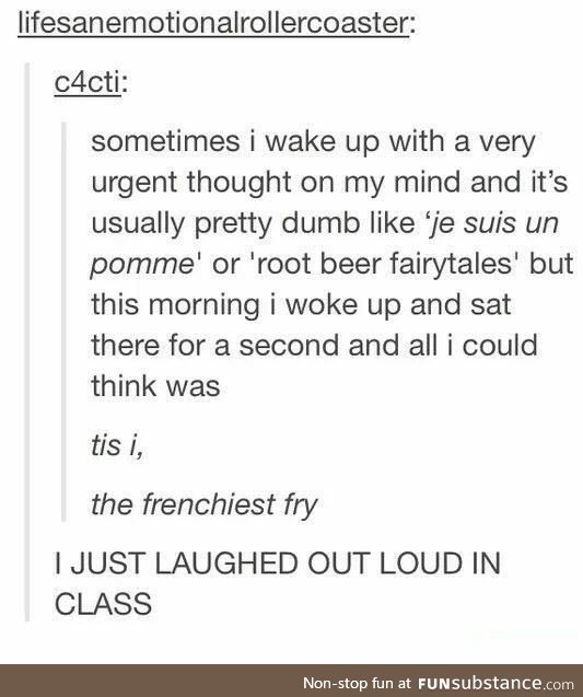 Tis I, the Frenchiest Fry