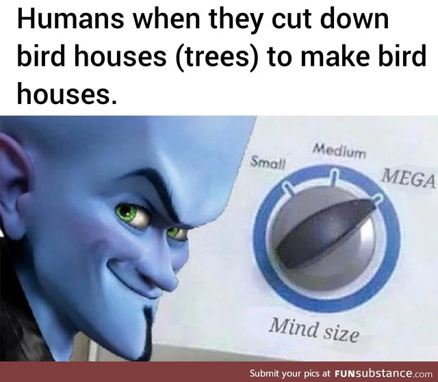 Those birds will thank us later