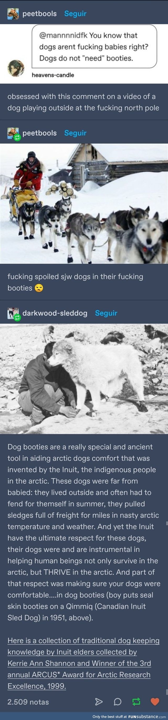 Dog booties