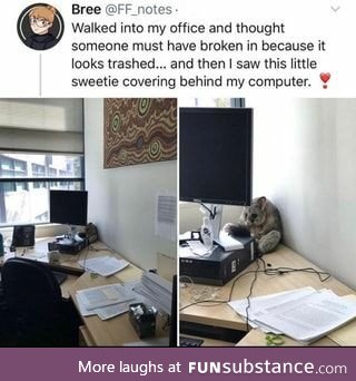 Office intruder