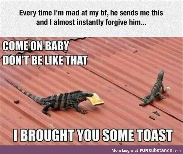 Brought you some toast