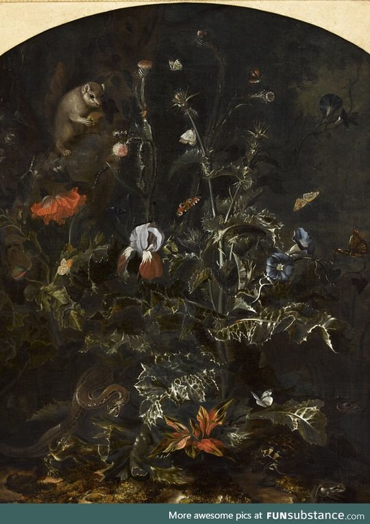 Daily dose of Art n°8 - I'm late, here's some doom - O.M. Van Schrieck