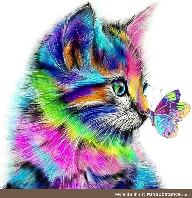 Colorful Cat Intrigued by Beautiful Butterfly