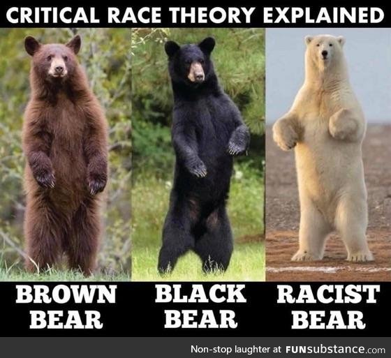 The Bear Necessities of Critical Race Theory