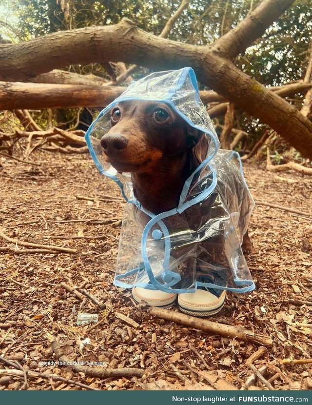 When you get a new raincoat and shoes