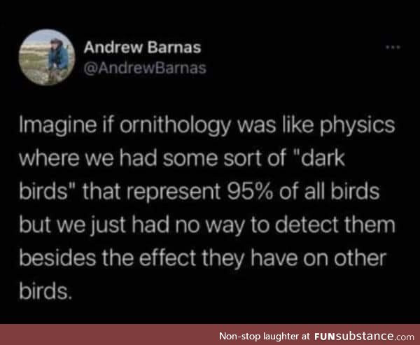 Bird physics