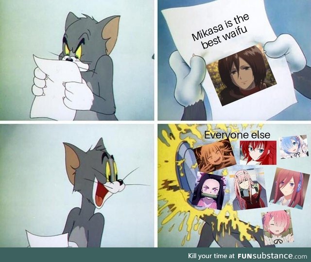 Mikasa is my ultimate waifu